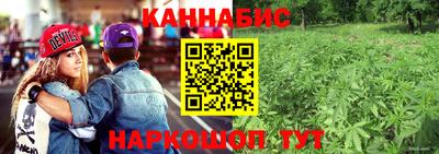 прущие крисы Севастополь