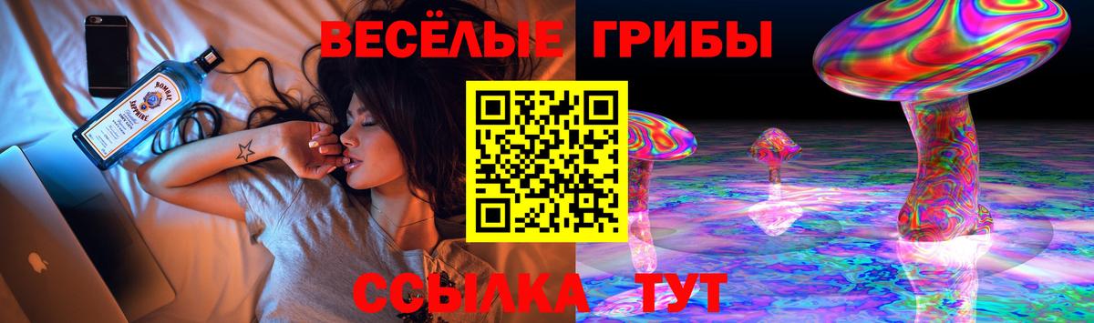 Подольск  Галлюциногенные грибы Psilocybine cubensis  Вход с VPN 